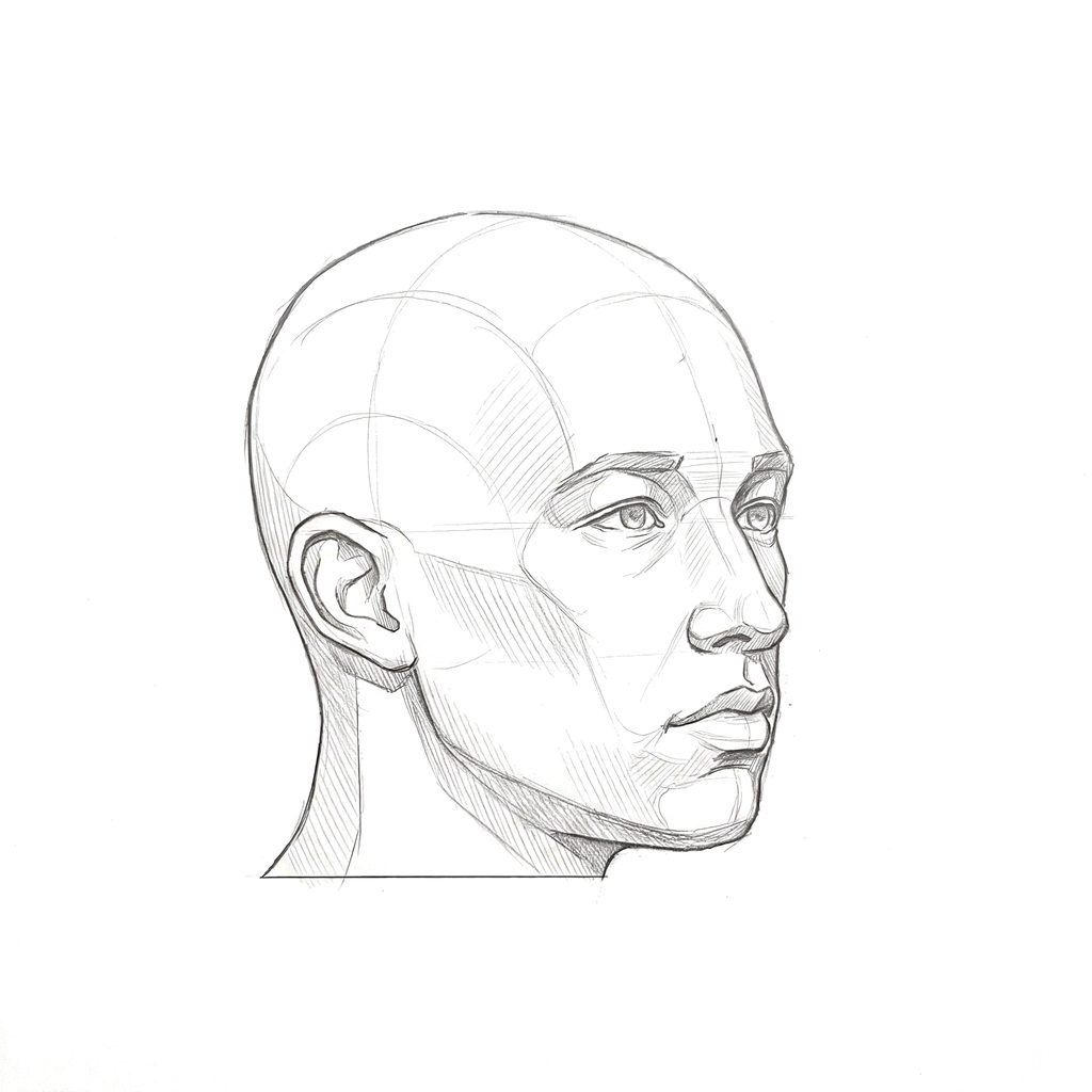 Head rotation reference, Minimal head, 45 degrees three-quarter view, tonal drawing
