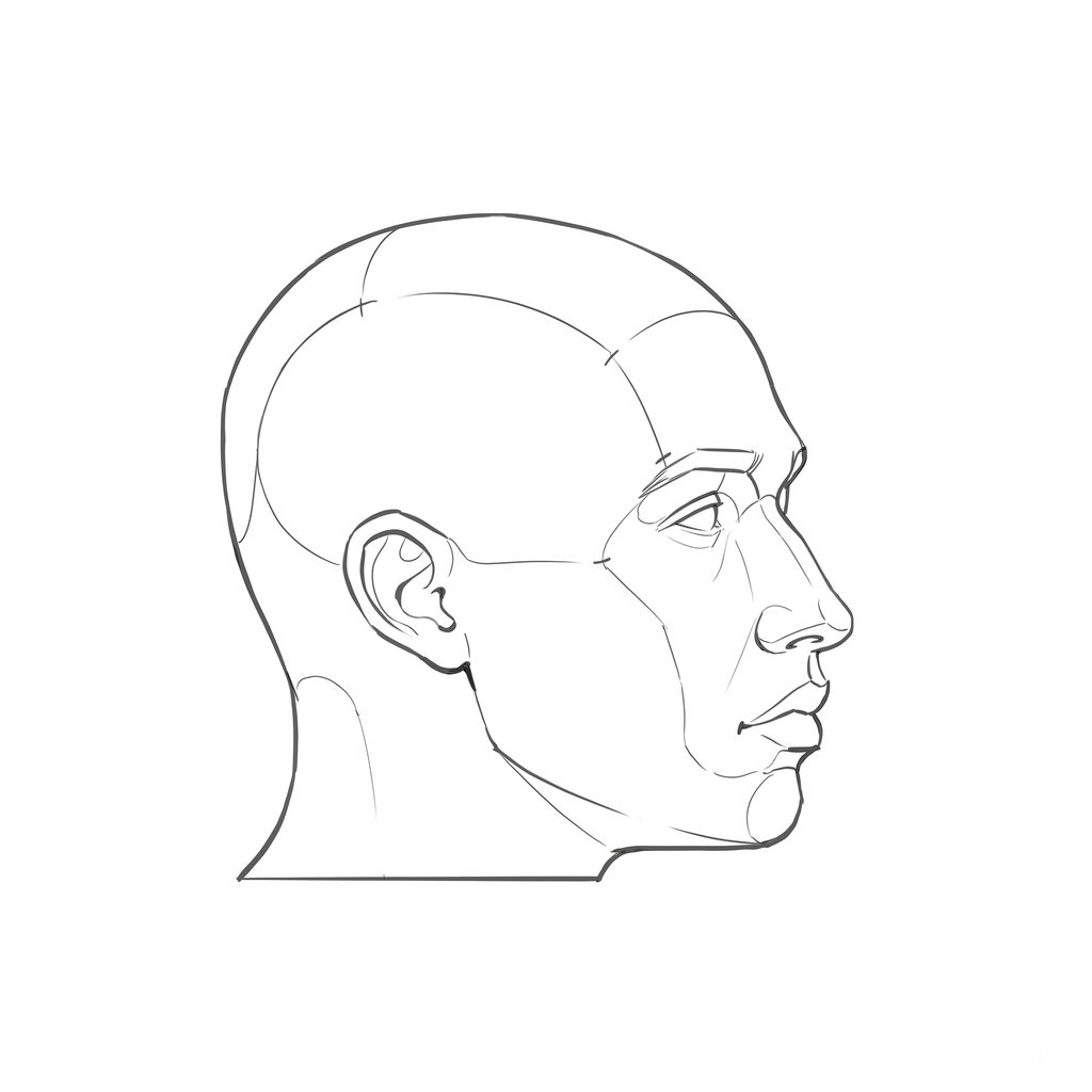 Head rotation reference, Minimal head, 67.5 degrees near-profile view, line drawing