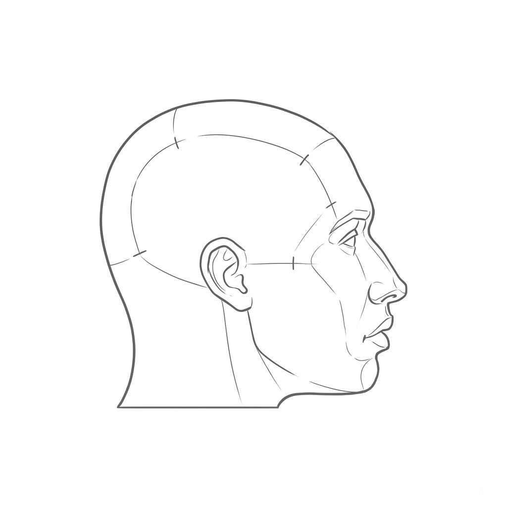 Head rotation reference, Minimal head, 90 degrees profile, line drawing