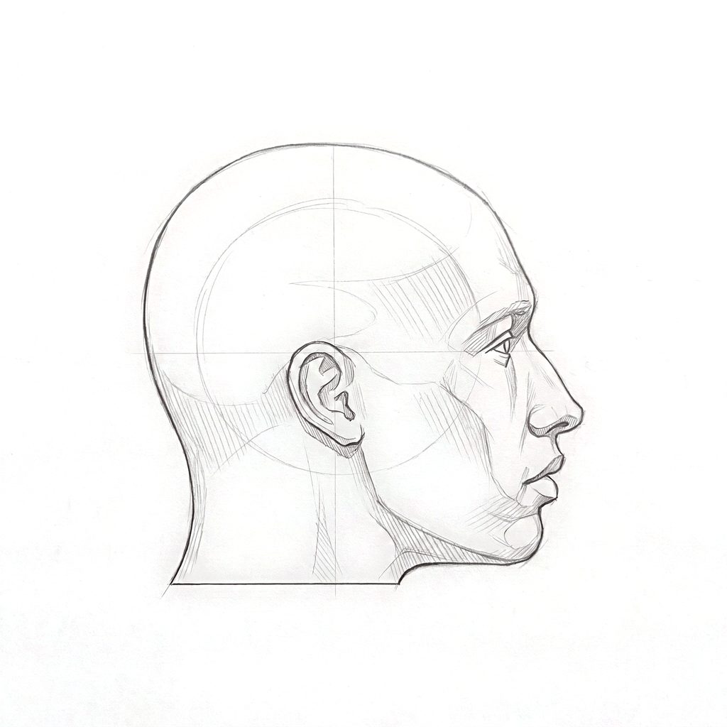 Head rotation reference, Minimal head, 90 degrees profile, tonal drawing