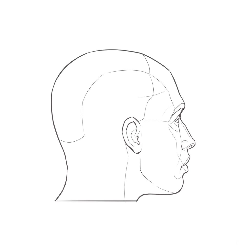 Head rotation reference, Minimal head, 112.5 degrees just behind profile, line drawing