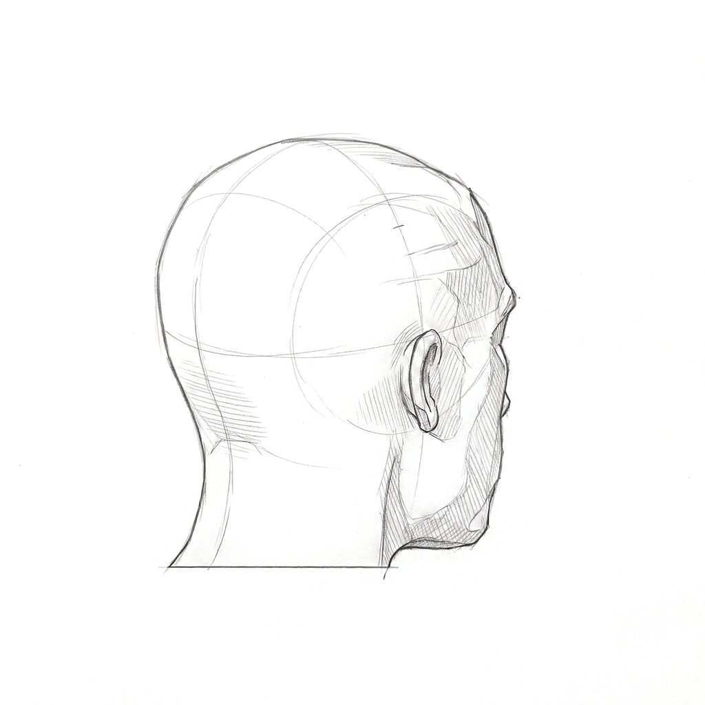 Head rotation reference, Minimal head, 135 degrees rear three-quarter, tonal drawing