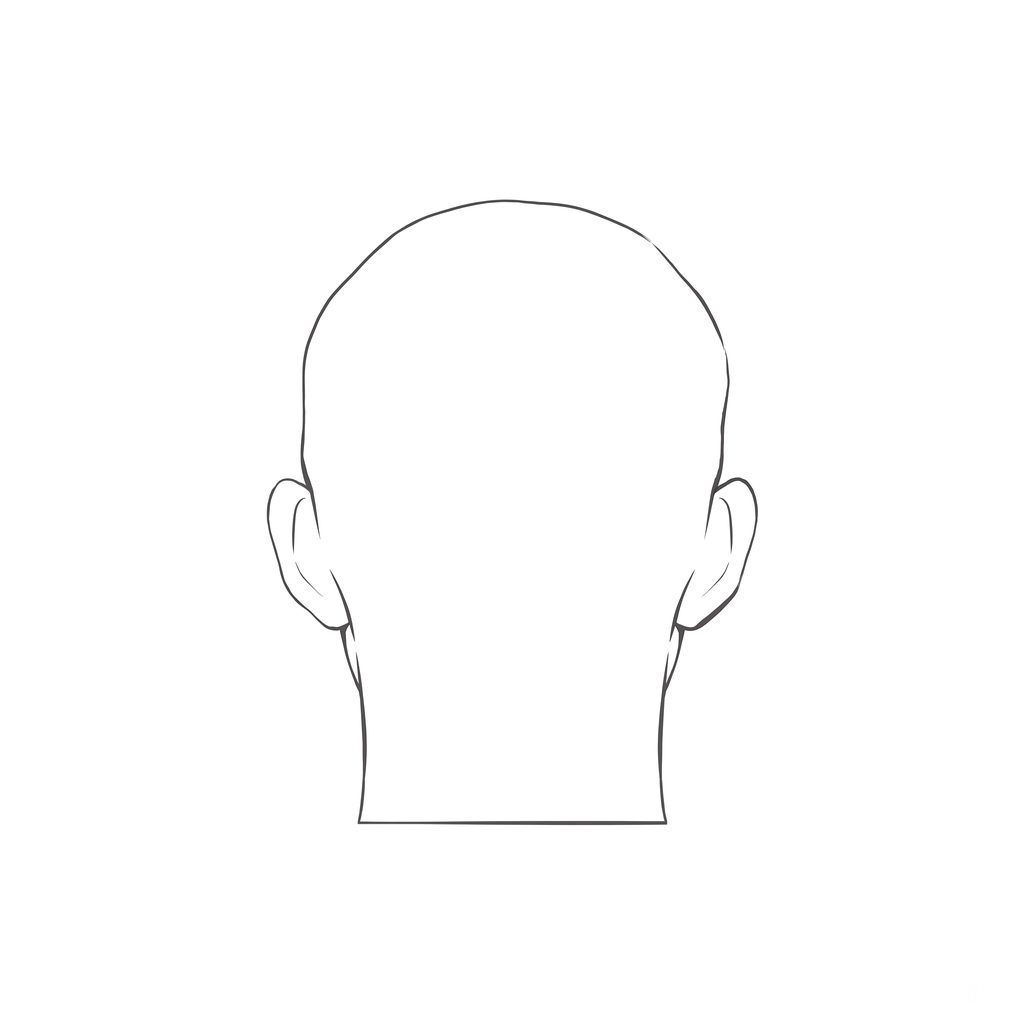 Head rotation reference, Minimal head, 180 degrees back view, line drawing