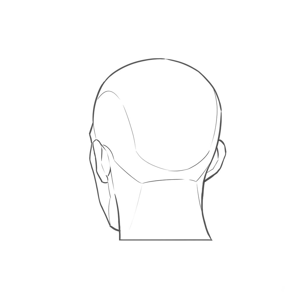 Head rotation reference, Minimal head, 202.5 degrees near-back view, line drawing