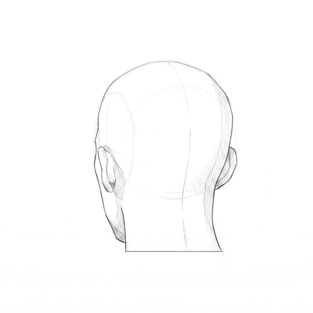 Head rotation reference, Minimal head, 202.5 degrees near-back view, tonal drawing