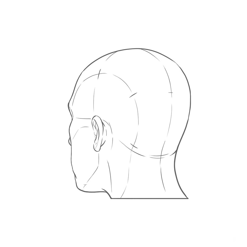 Head rotation reference, Minimal head, 225 degrees rear three-quarter, line drawing