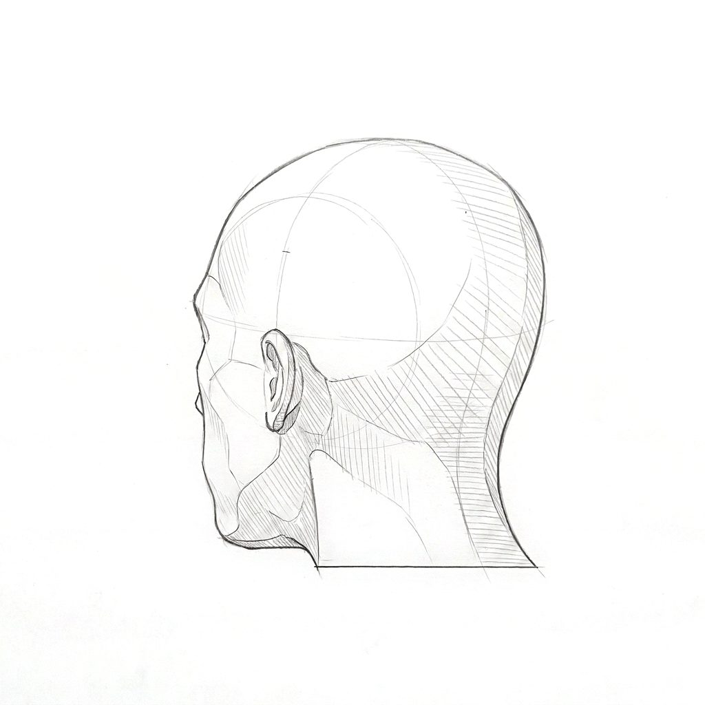 Head rotation reference, Minimal head, 225 degrees rear three-quarter, tonal drawing