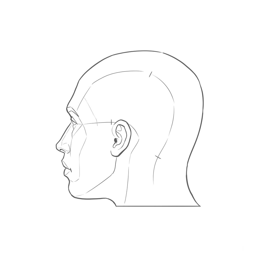 Head rotation reference, Minimal head, 247.5 degrees just behind profile, line drawing