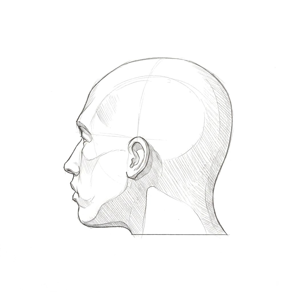 Head rotation reference, Minimal head, 247.5 degrees just behind profile, tonal drawing