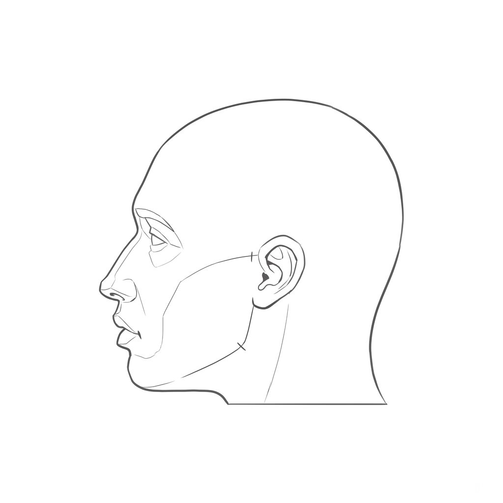 Head rotation reference, Minimal head, 270 degrees profile, line drawing