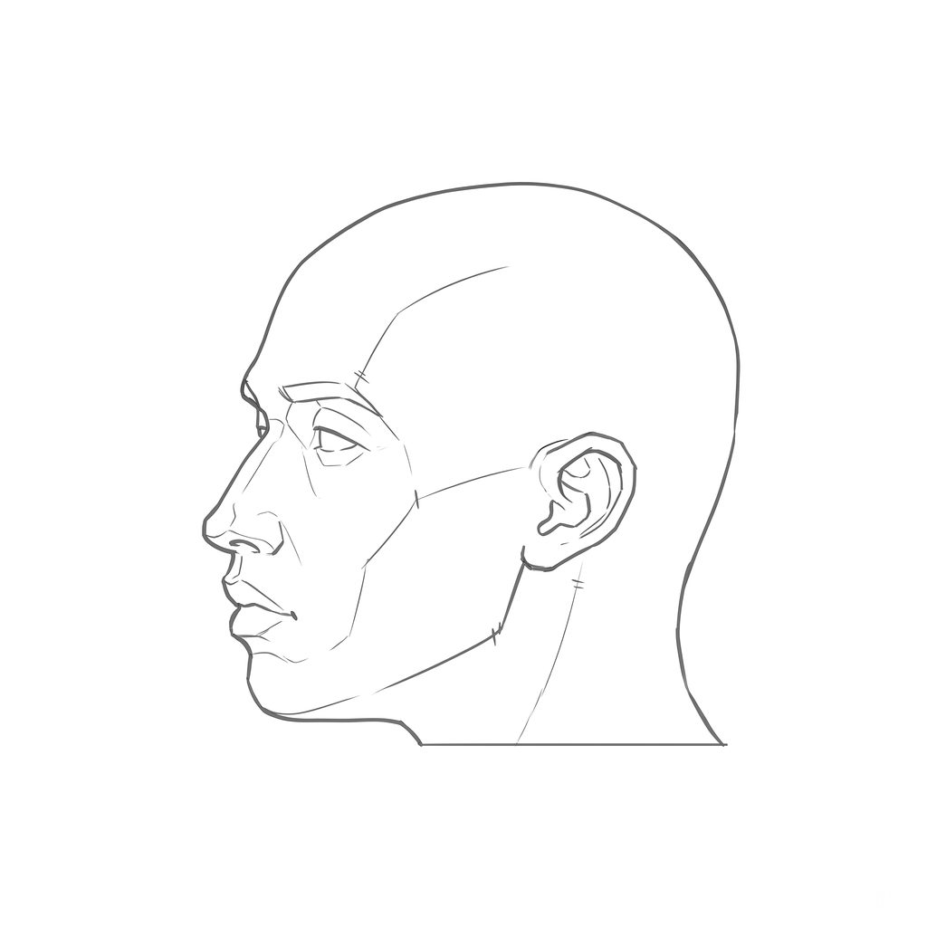Head rotation reference, Minimal head, 292.5 degrees near-profile view, line drawing