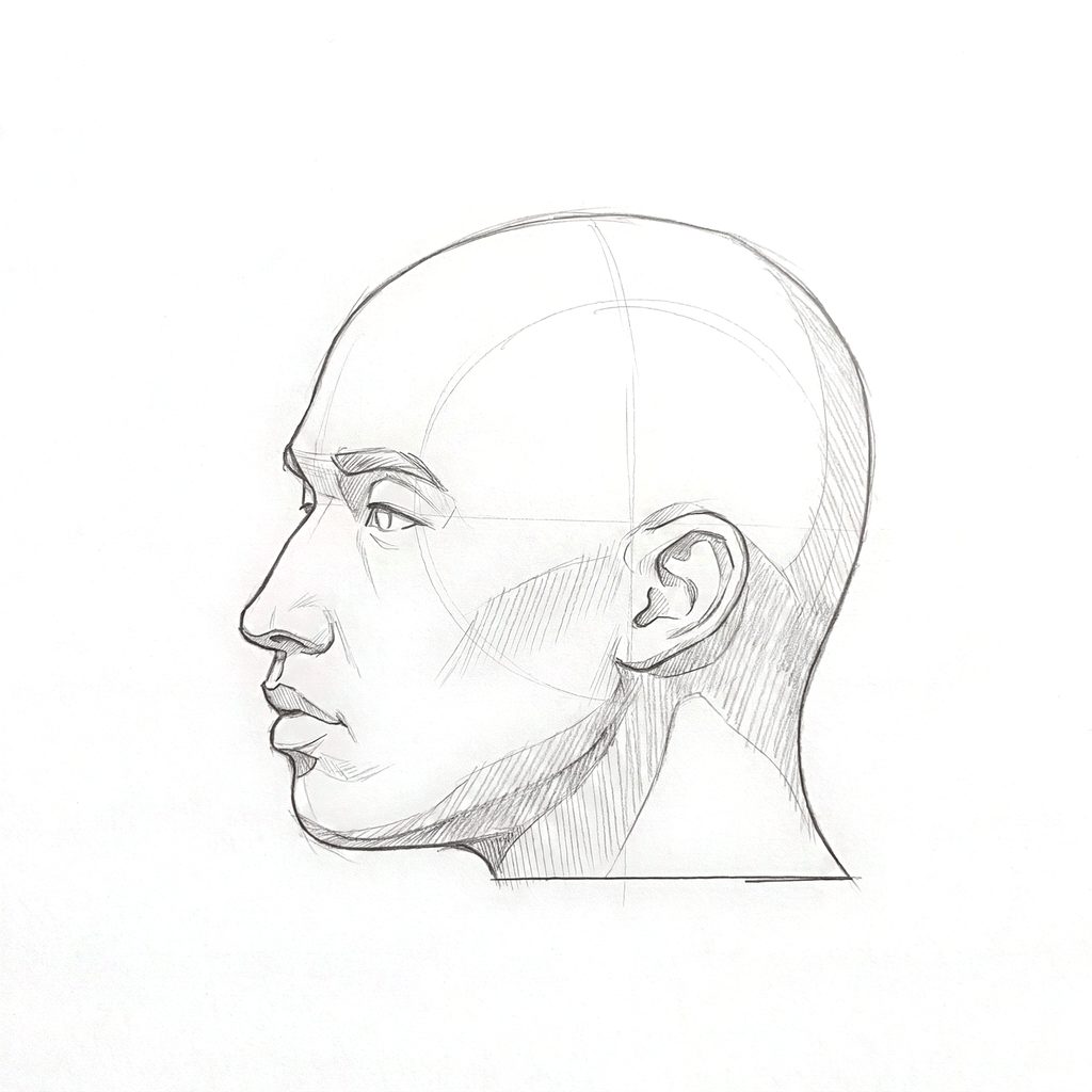 Head rotation reference, Minimal head, 292.5 degrees near-profile view, tonal drawing