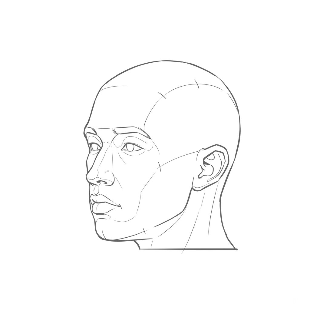 Head rotation reference, Minimal head, 315 degrees three-quarter view, line drawing