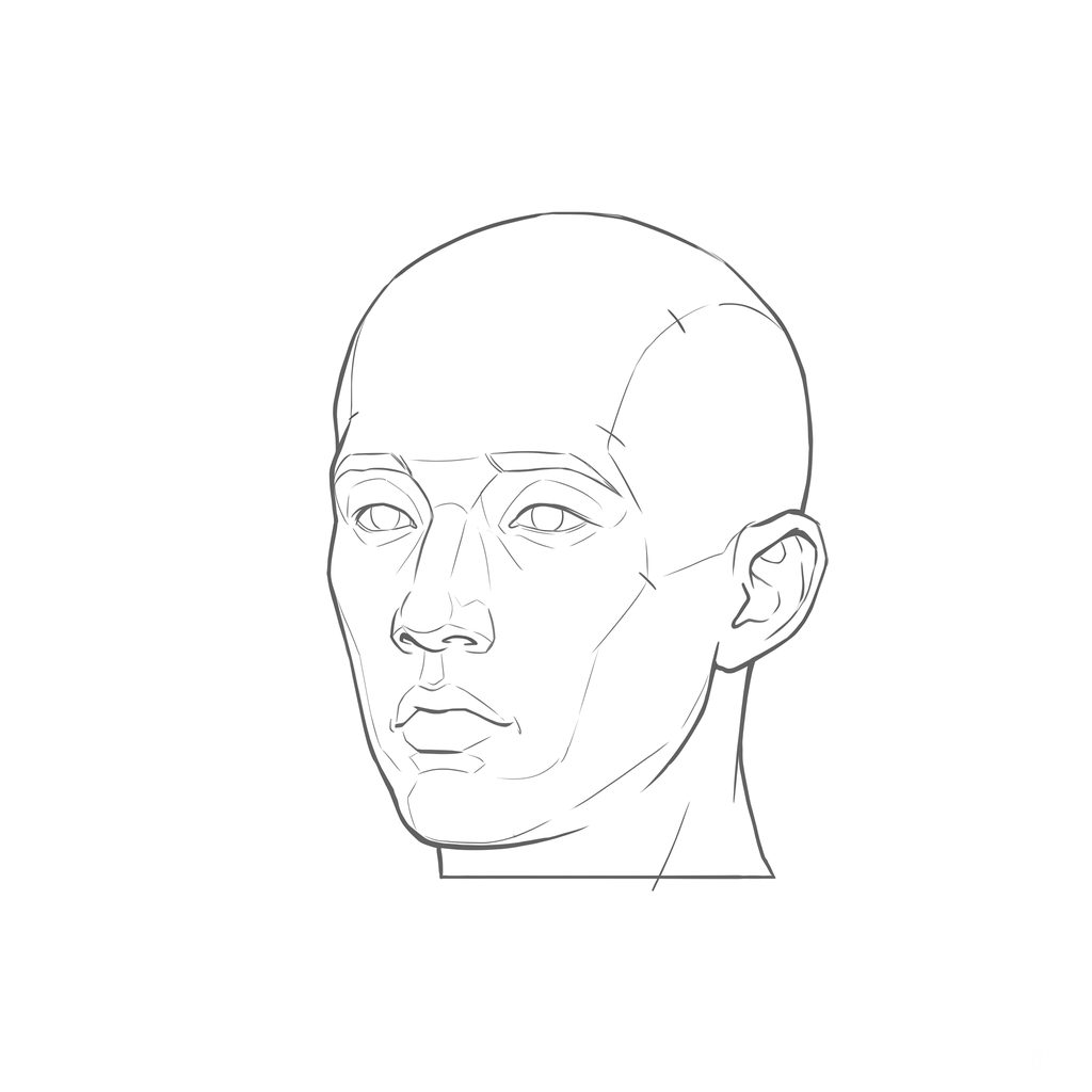 Head rotation reference, Minimal head, 337.5 degrees slight three-quarter view, line drawing