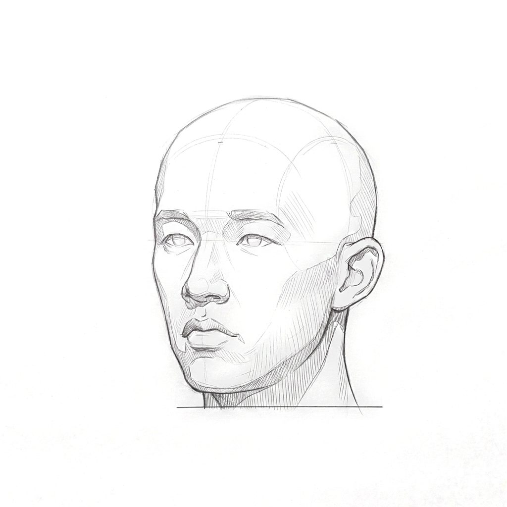 Head rotation reference, Minimal head, 337.5 degrees slight three-quarter view, tonal drawing