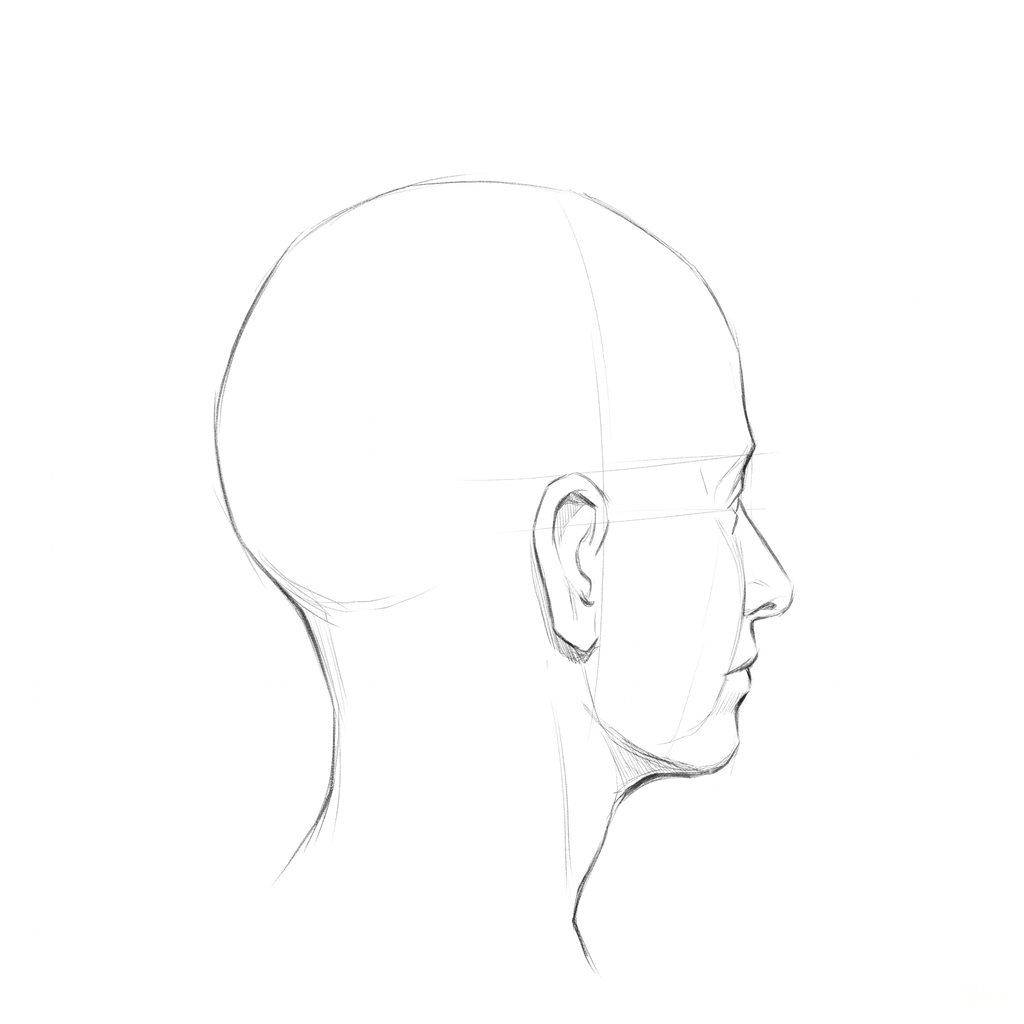 Head rotation reference, Soft planes, 112.5 degrees just behind profile, pencil drawing