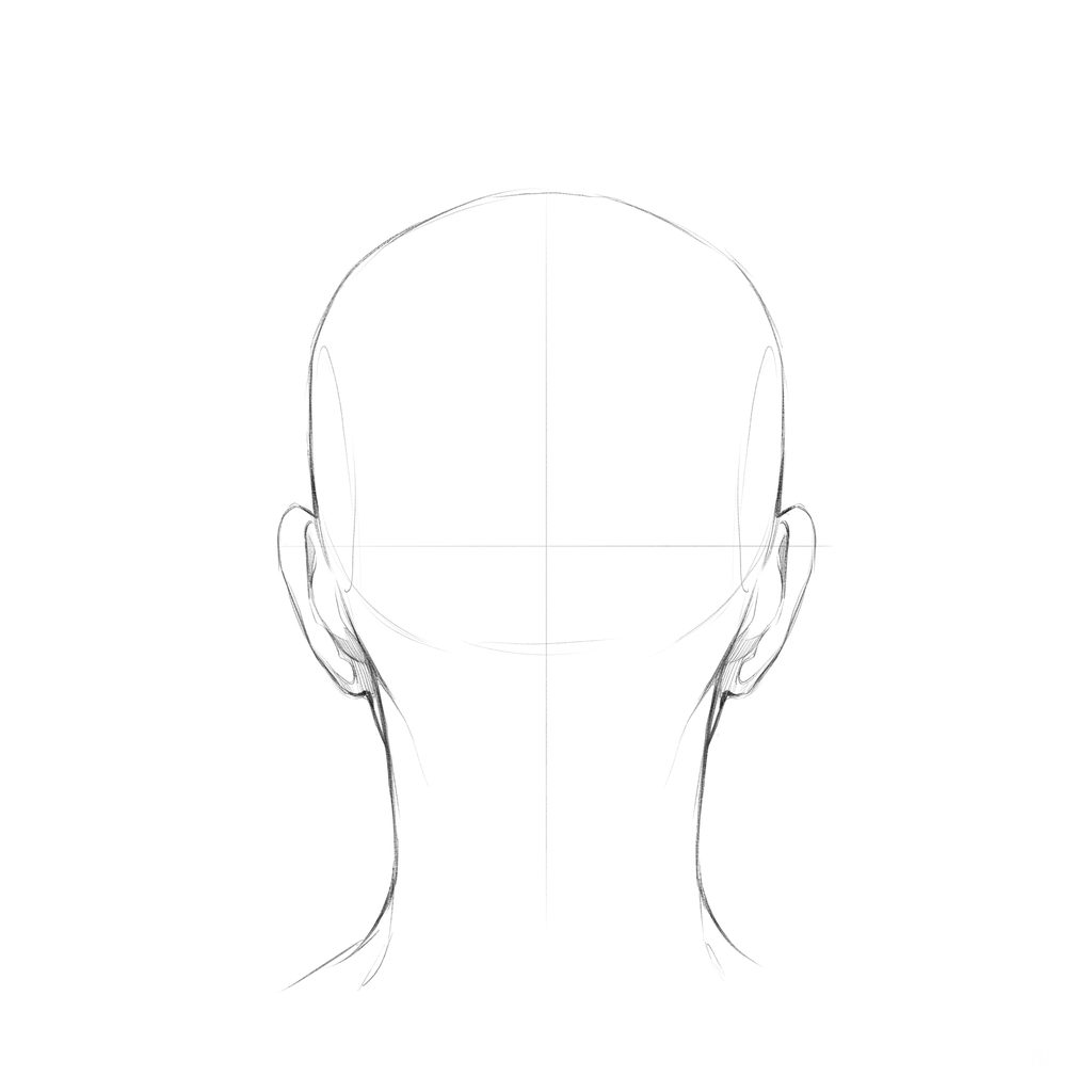 Head rotation reference, Soft planes, 180 degrees back view, pencil drawing