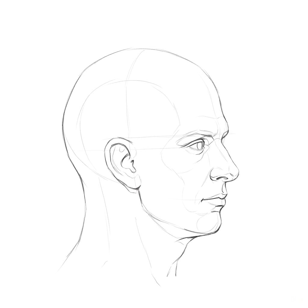 Head rotation reference, Square jaw, 67.5 degrees near-profile view, pencil drawing