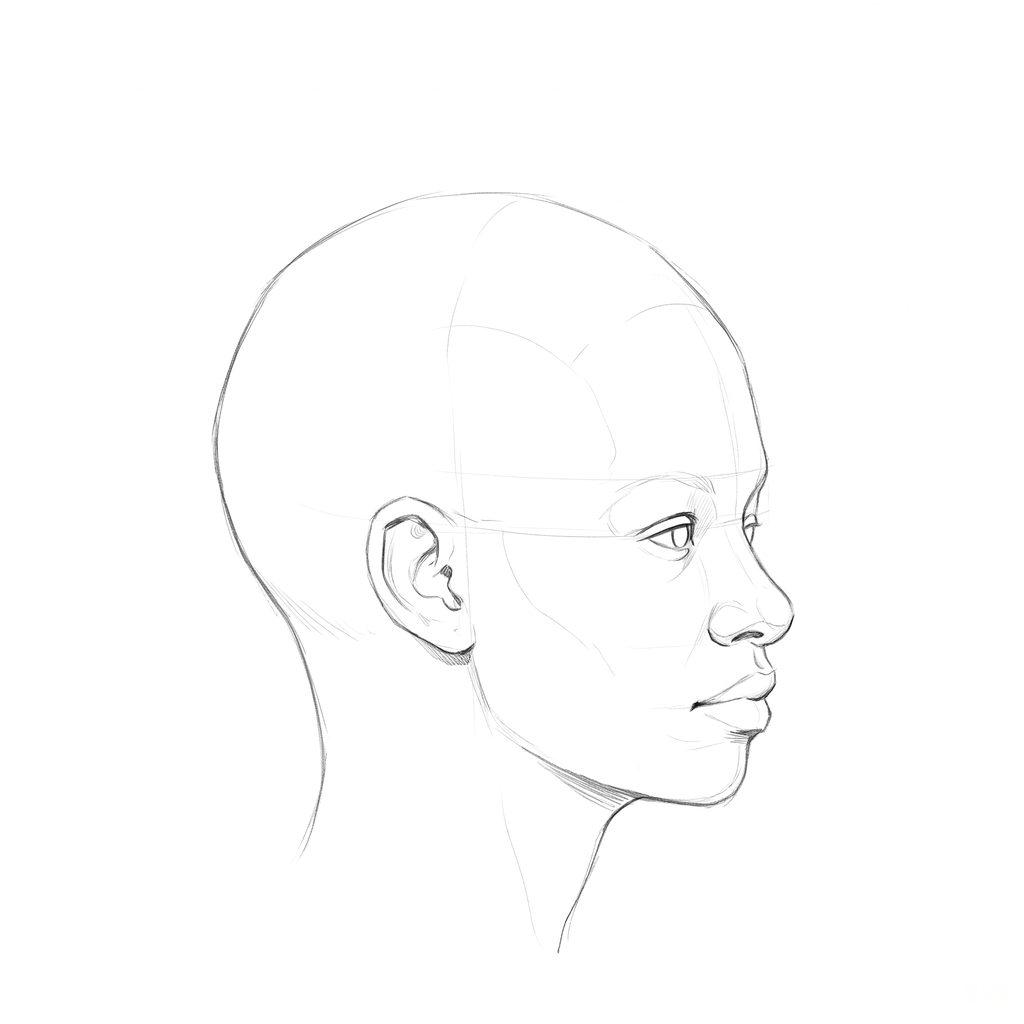 Head rotation reference, Full lips, 67.5 degrees near-profile view, pencil drawing