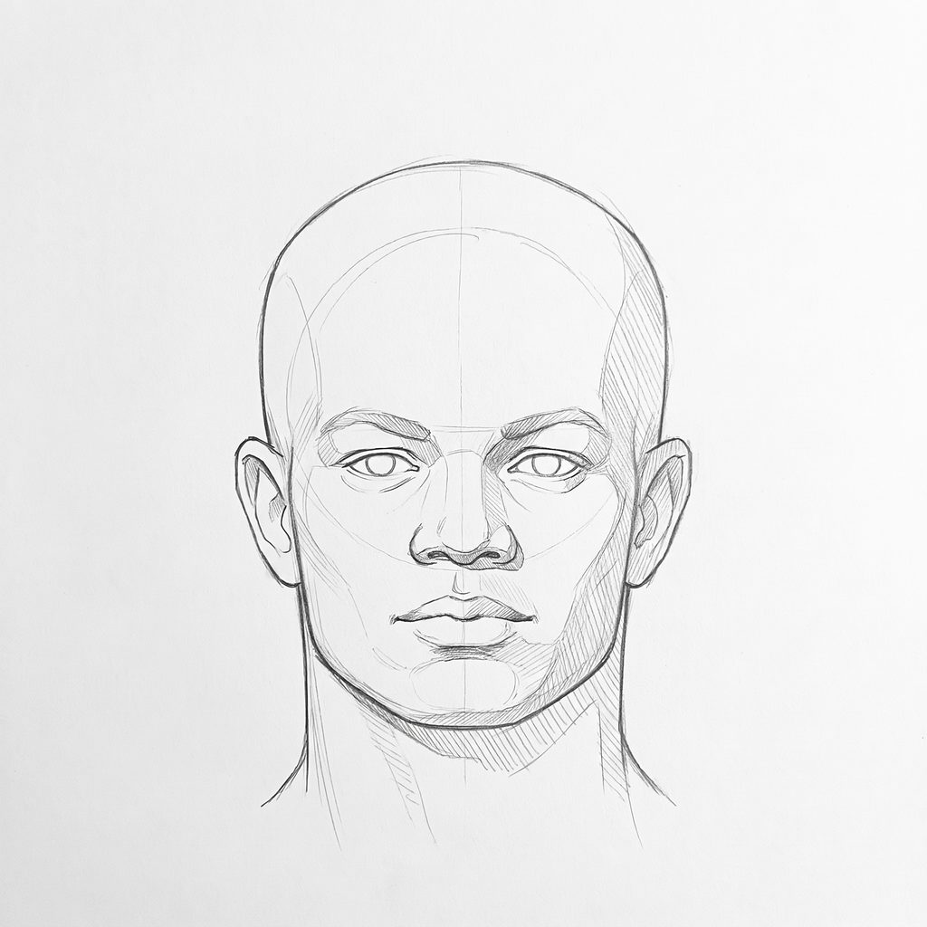 Head rotation reference, High cheekbones, 0 degrees front view, tonal drawing