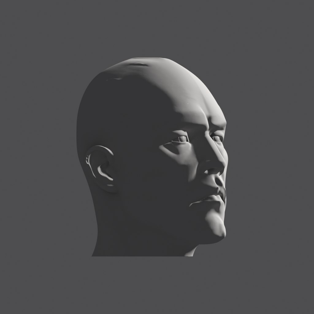 Head lighting reference, hard-plane head at a 45 degree turn, light from the face side, raking across the front