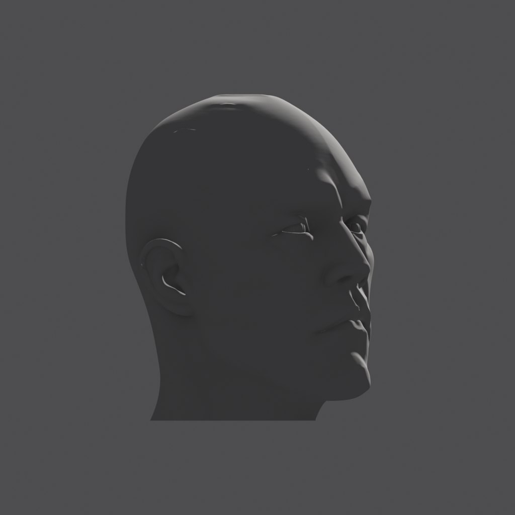 Head lighting reference, hard-plane head at a 45 degree turn, light from the far side of the face
