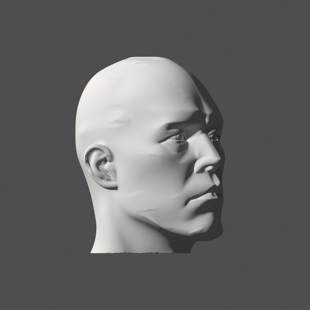 Head lighting reference, hard-plane head at a 45 degree turn, light from the ear side